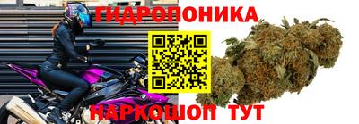 прущая мука Аша