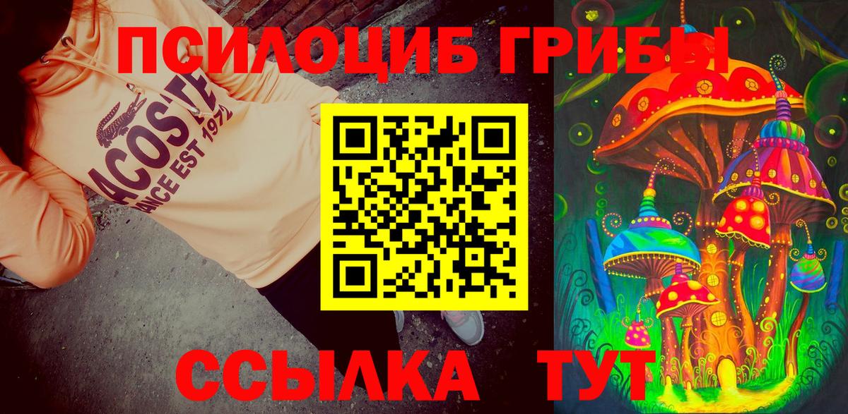 Галлюциногенные грибы мицелий  Вход с VPN  Галлюциногенные грибы GOLDEN TEACHER  купить закладку  Воркута 
